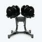 Dumbbell Stand
